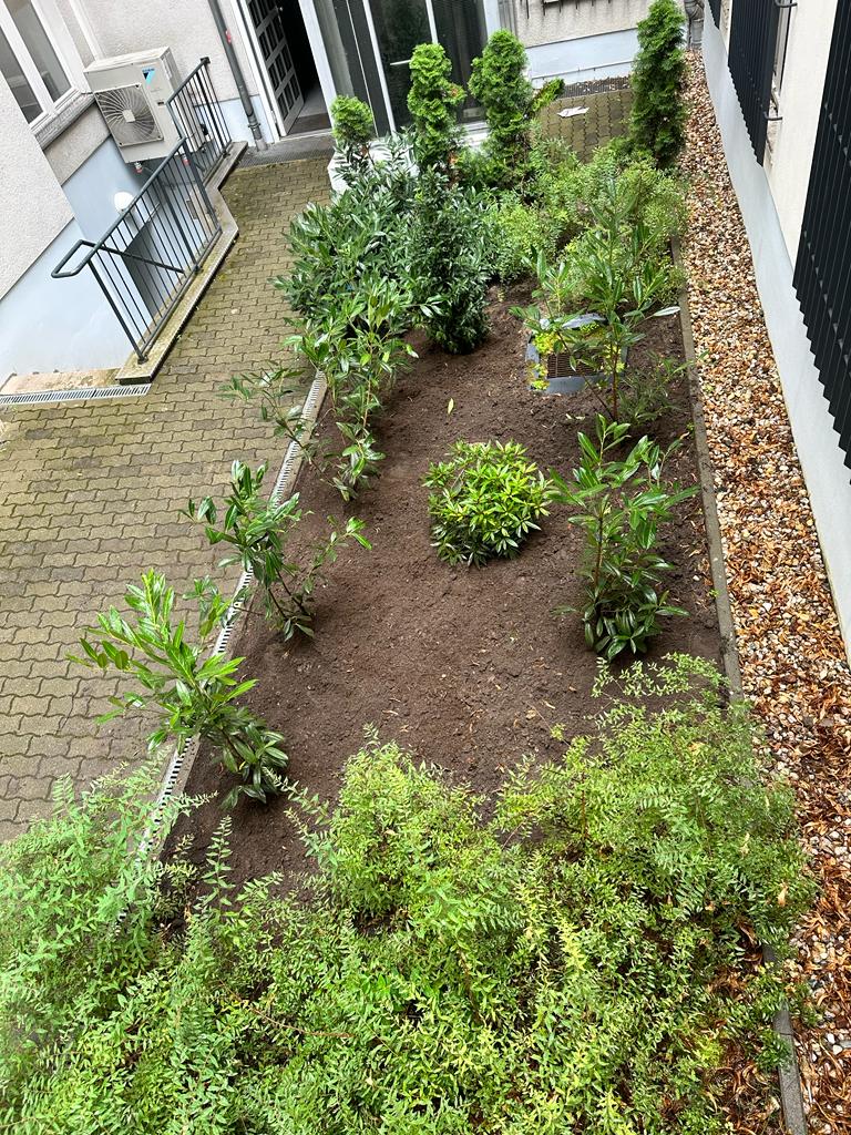 PHOTO-2024-03-01-14-27-18